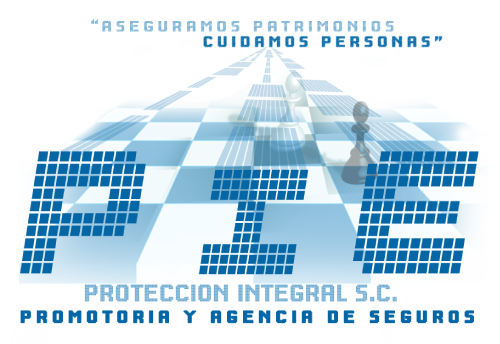 logo de Promotoría y Agencia de Seguros 1